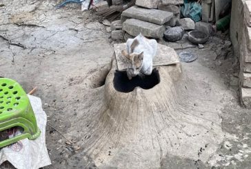 শীতের তীব্রতায় কাঁপছে কলারোয়া