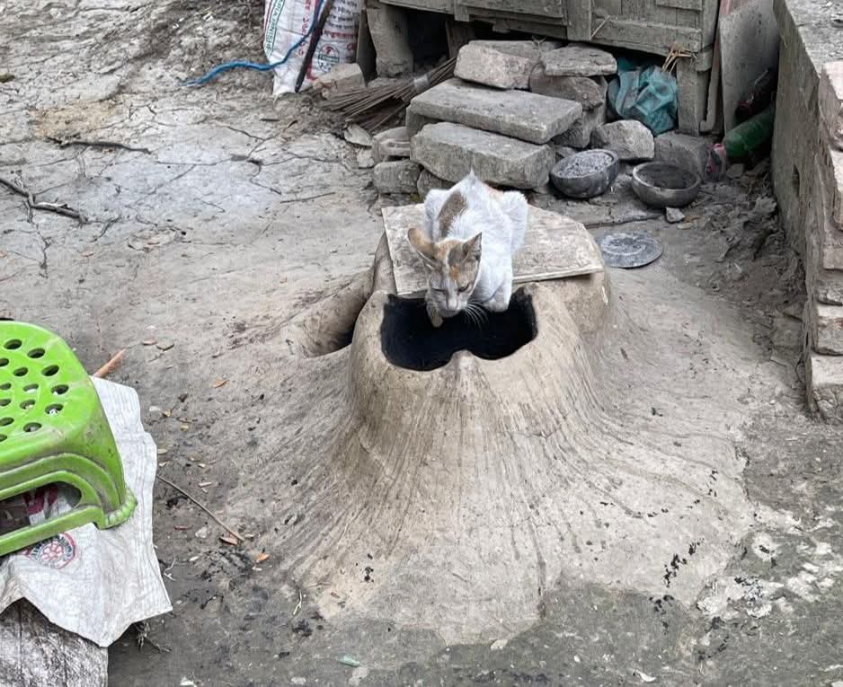 শীতের তীব্রতায় কাঁপছে কলারোয়া