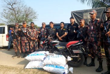 কালিগঞ্জে যৌথ অভিযানে ৯৮৩ বোতল ফেনসিডিলসহ নারী মাদক কারবারি আটক