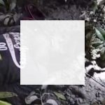 কালিগঞ্জের হাবড়া নদী থেকে অজ্ঞাত ব্যক্তির মরদেহ উদ্ধার