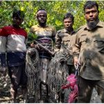 সুন্দরবন থেকে ২৪৬টি ফাঁদ উদ্ধার