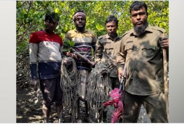 সুন্দরবন থেকে ২৪৬টি ফাঁদ উদ্ধার