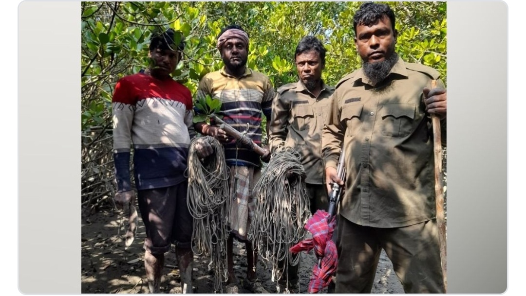 সুন্দরবন থেকে ২৪৬টি ফাঁদ উদ্ধার