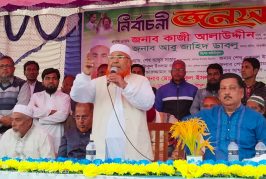 কালিগঞ্জে ধানের শীষের নির্বাচনী জনসভা: উন্নয়নের স্বার্থে ভোট চাইলেন কাজী আলাউদ্দীন