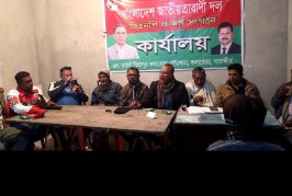 কলারোয়ার মির্জাপুরে ধানের শীষের ব্যালট বিপ্লব ঘটবে: আশাবাদ বিএনপি নেতৃবৃন্দের