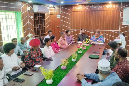 কালিগঞ্জে আন্তর্জাতিক মাতৃভাষা দিবস উপলক্ষ্যে প্রস্তুতি সভা