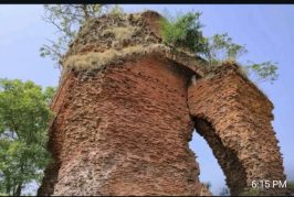 ৫০০ বছরের ঐতিহ্য: অযত্নে ধ্বংসের মুখে কালিগঞ্জের ড্যামরাইল নবরত্ন মন্দির