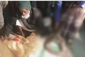 শরণখোলায় মাছের ঘের থেকে ১২ ফুট অজগর উদ্ধার