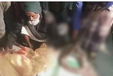 শরণখোলায় মাছের ঘের থেকে ১২ ফুট অজগর উদ্ধার