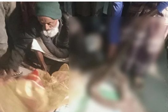 শরণখোলায় মাছের ঘের থেকে ১২ ফুট অজগর উদ্ধার