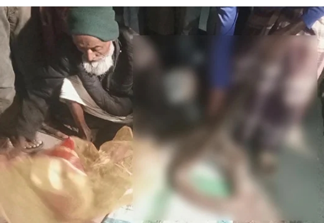 শরণখোলায় মাছের ঘের থেকে ১২ ফুট অজগর উদ্ধার