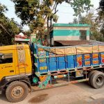 কলারোয়ায় ১২০ মণ নিষিদ্ধ মাগুর আটক: নিধনের বদলে দফারফার অভিযোগ প্রশাসনের বিরুদ্ধে