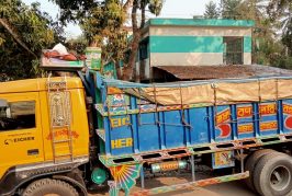 কলারোয়ায় ১২০ মণ নিষিদ্ধ মাগুর আটক: নিধনের বদলে দফারফার অভিযোগ প্রশাসনের বিরুদ্ধে