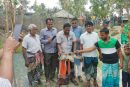 কলারোয়া খোরদো বাওড়ের ধরা পড়ল ২৫ কেজি ওজনের কচ্ছপ