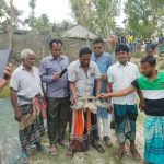 কলারোয়া খোরদো বাওড়ের ধরা পড়ল ২৫ কেজি ওজনের কচ্ছপ