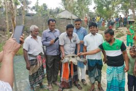 কলারোয়া খোরদো বাওড়ের ধরা পড়ল ২৫ কেজি ওজনের কচ্ছপ