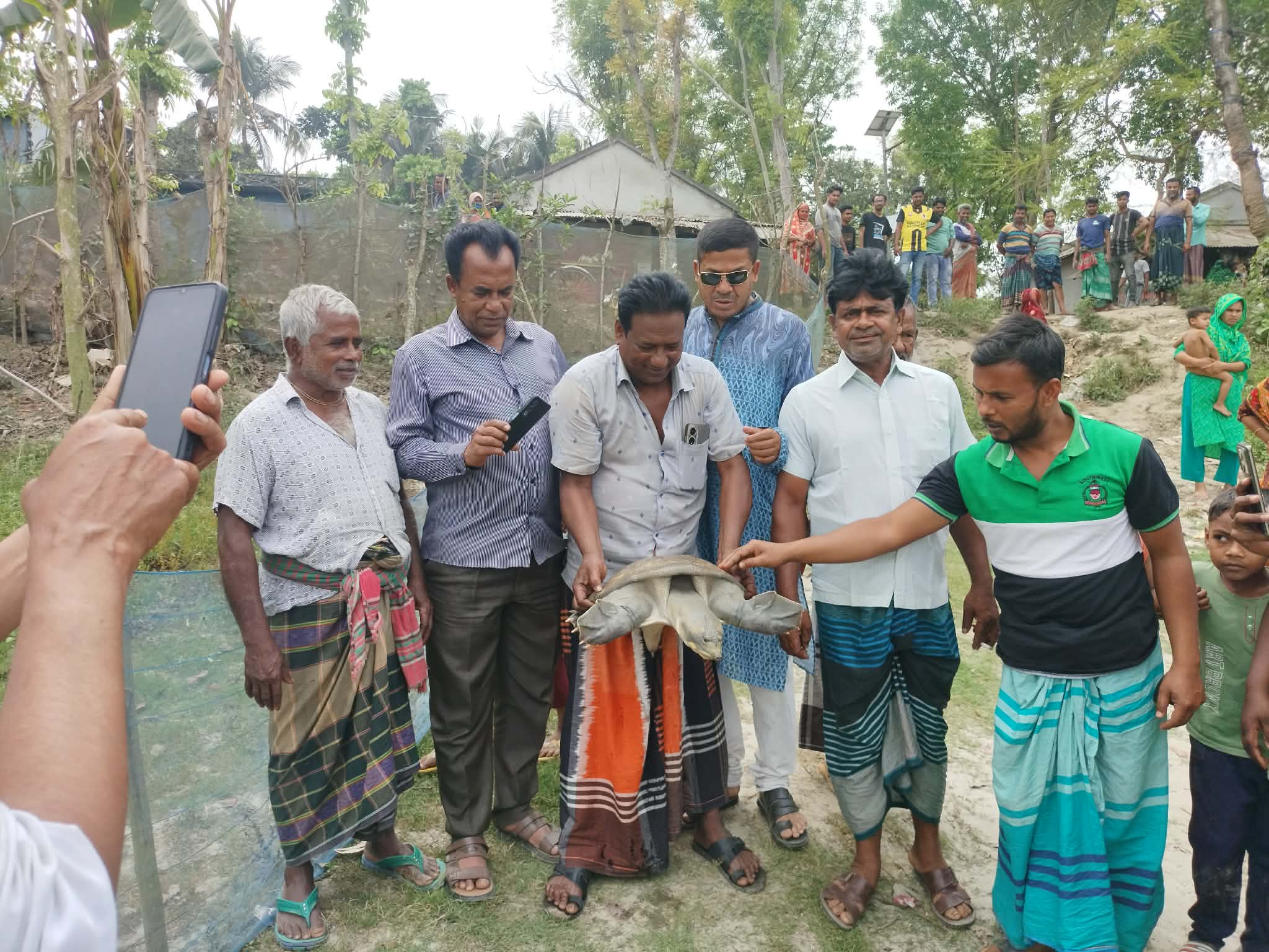 কলারোয়া খোরদো বাওড়ের ধরা পড়ল ২৫ কেজি ওজনের কচ্ছপ