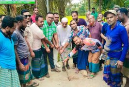 কালিগঞ্জের বিষ্ণুপুরে সড়কের নির্মাণকাজ উদ্বোধন