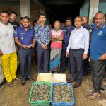 দেবহাটায় মোবাইল কোর্টের অভিযান: পুশকৃত বাগদা চিংড়ি জব্দ
