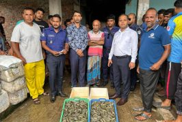 দেবহাটায় মোবাইল কোর্টের অভিযান: পুশকৃত বাগদা চিংড়ি জব্দ