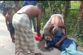 প্রতাপনগরে জমি দখল ও বৃদ্ধকে মারধরের অভিযোগ,থানায় অভিযোগ দায়ের