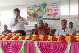 আশাশুনির চাম্পাফুল আচার্য প্রফুল্ল চন্দ্র মাধ্যমিক বিদ্যাপীঠে বৃক্ষরোপণ কর্মসূচি