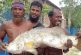 আশাশুনিতে জেলের জালে ১৫ কেজির কুরাল, দর্শনার্থীদের ভীড়