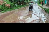 কলারোয়া পৌরসভার উন্নয়ন! দুই পাশে উন্নত সড়ক, মাঝখানে ৪০০ মিটারের দুর্ভোগ