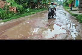 কলারোয়া পৌরসভার উন্নয়ন! দুই পাশে উন্নত সড়ক, মাঝখানে ৪০০ মিটারের দুর্ভোগ