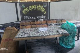 শ্যামনগরে র‍্যাবের বিশেষ অভিযানে বিপুল পরিমাণ মাদক ও ভারতীয় ঔষধ জব্দ
