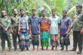 সুন্দরবনে নিষিদ্ধ সময়ে মাছ শিকার,৫ জেলে কারাগারে