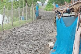 আশাশুনির উত্তর পুঁইজালা-লক্ষিখালী জিপিএস সড়ক পাকাকরণের জোর দাবি