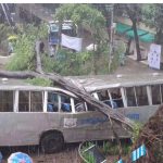 অল্পের জন্য প্রাণে বাঁচলেন শিক্ষার্থীরা, ঝড়বৃষ্টিতে জবিতে বাসের ওপর ভেঙে পড়ল কৃষ্ণচূড়া গাছ