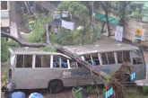 অল্পের জন্য প্রাণে বাঁচলেন শিক্ষার্থীরা, ঝড়বৃষ্টিতে জবিতে বাসের ওপর ভেঙে পড়ল কৃষ্ণচূড়া গাছ