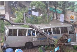 অল্পের জন্য প্রাণে বাঁচলেন শিক্ষার্থীরা, ঝড়বৃষ্টিতে জবিতে বাসের ওপর ভেঙে পড়ল কৃষ্ণচূড়া গাছ