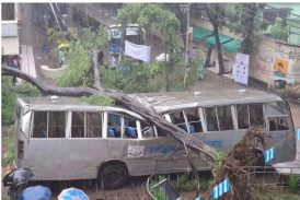 অল্পের জন্য প্রাণে বাঁচলেন শিক্ষার্থীরা, ঝড়বৃষ্টিতে জবিতে বাসের ওপর ভেঙে পড়ল কৃষ্ণচূড়া গাছ