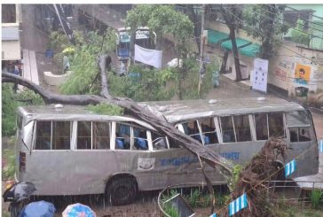 অল্পের জন্য প্রাণে বাঁচলেন শিক্ষার্থীরা, ঝড়বৃষ্টিতে জবিতে বাসের ওপর ভেঙে পড়ল কৃষ্ণচূড়া গাছ