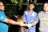 কলারোয়ায় প্রাণী প্রেমিক সোহানের পাশে প্রধানমন্ত্রী তারেক রহমান