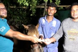 কলারোয়ায় প্রাণী প্রেমিক সোহানের পাশে প্রধানমন্ত্রী তারেক রহমান