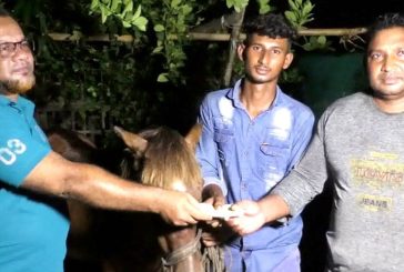 কলারোয়ায় প্রাণী প্রেমিক সোহানের পাশে প্রধানমন্ত্রী তারেক রহমান