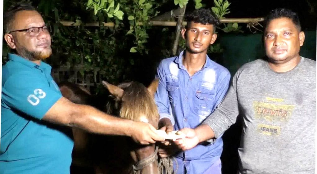 কলারোয়ায় প্রাণী প্রেমিক সোহানের পাশে প্রধানমন্ত্রী তারেক রহমান