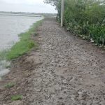 আশাশুনির মহিষকুড়-শীতুলপুর ভায়া পরিষদগামী ৪ কিঃমিঃ কাঁচা রাস্তা দ্রুত পাকাকরণের দাবি