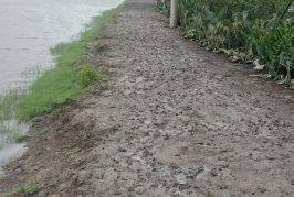 আশাশুনির মহিষকুড়-শীতুলপুর ভায়া পরিষদগামী ৪ কিঃমিঃ কাঁচা রাস্তা দ্রুত পাকাকরণের দাবি