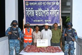সুন্দরবনে হরিণের মাংসসহ আটক ২