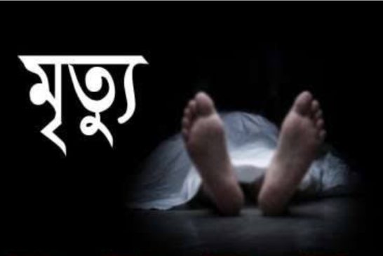 কালিগঞ্জে সাপের কামড়ে শিশুর মৃ-ত্যু
