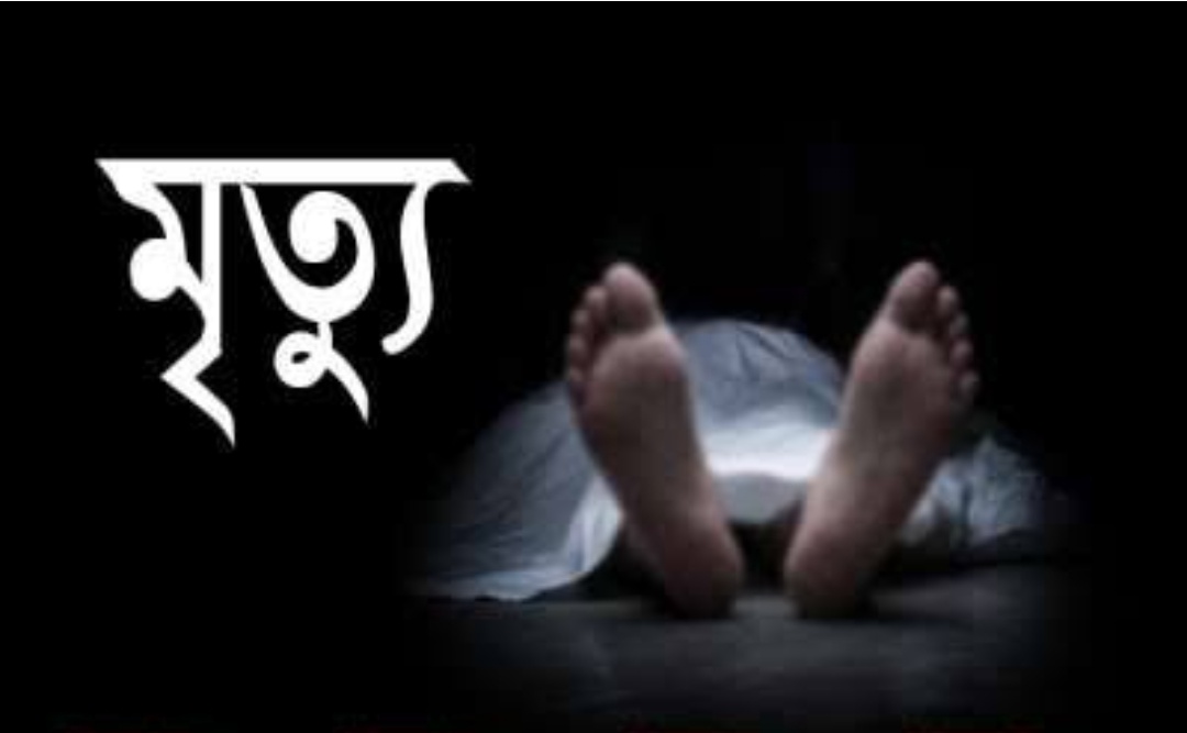 কালিগঞ্জে সাপের কামড়ে শিশুর মৃ-ত্যু