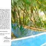 কালিগঞ্জে পৈতৃক সম্পত্তি দখলের চেষ্টার অভিযোগ, থানায় লিখিত অভিযোগ