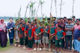 কালিগঞ্জে বৃক্ষরোপণ কর্মসূচির উদ্বোধন
