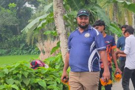 কলারোয়ায় বিভিন্ন সড়কে তালবীজ রোপণের ব্যতিক্রমী উদ্যোগ সিভিল ইঞ্জিনিয়ার চয়নের