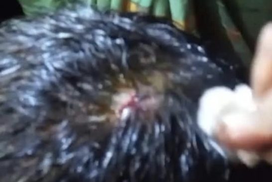 কালিগঞ্জে ঘেরের মাছ চুরির প্রতিবাদ করায় হামলার অভিযোগ